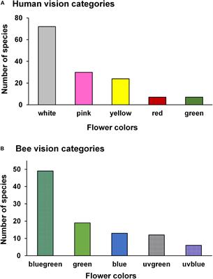 Flowering Phenology and the Influence of Seasonality in Flower Conspicuousness for Bees